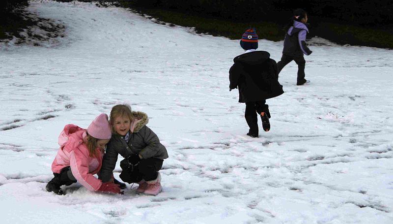 Snowy_Weather_Feb_09 (19)